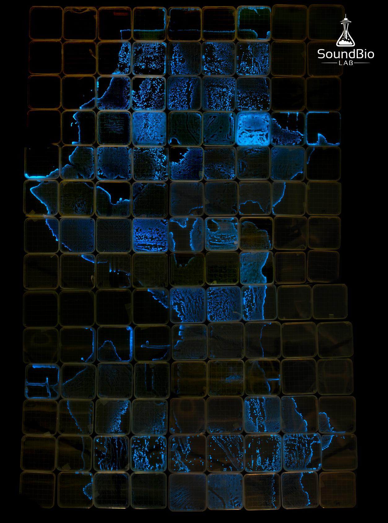 SeattleMap.png