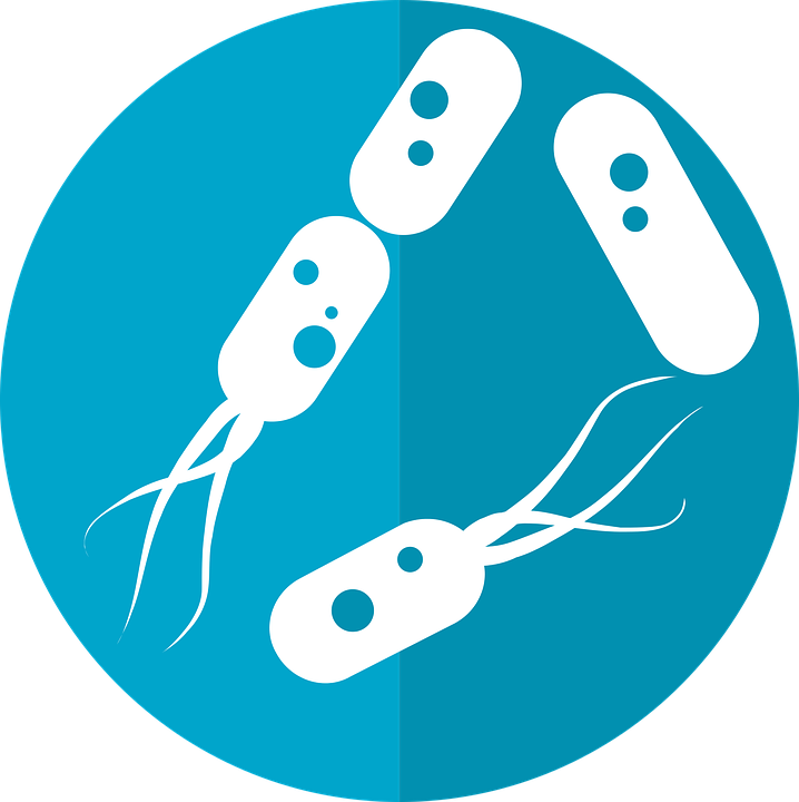 BEGINNERS WORKSHOP: Extract DNA from Bacteria