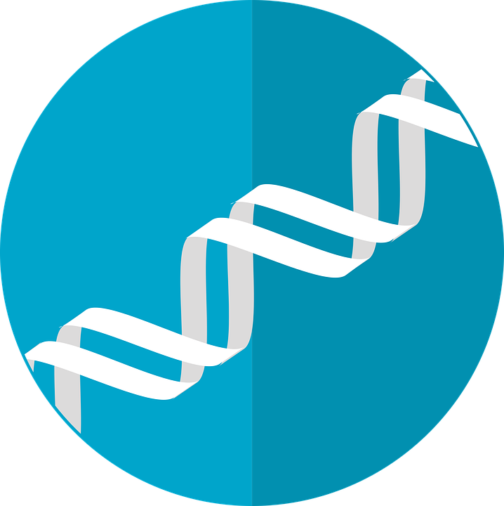 BEGINNERS WORKSHOP: Molecular Scissors