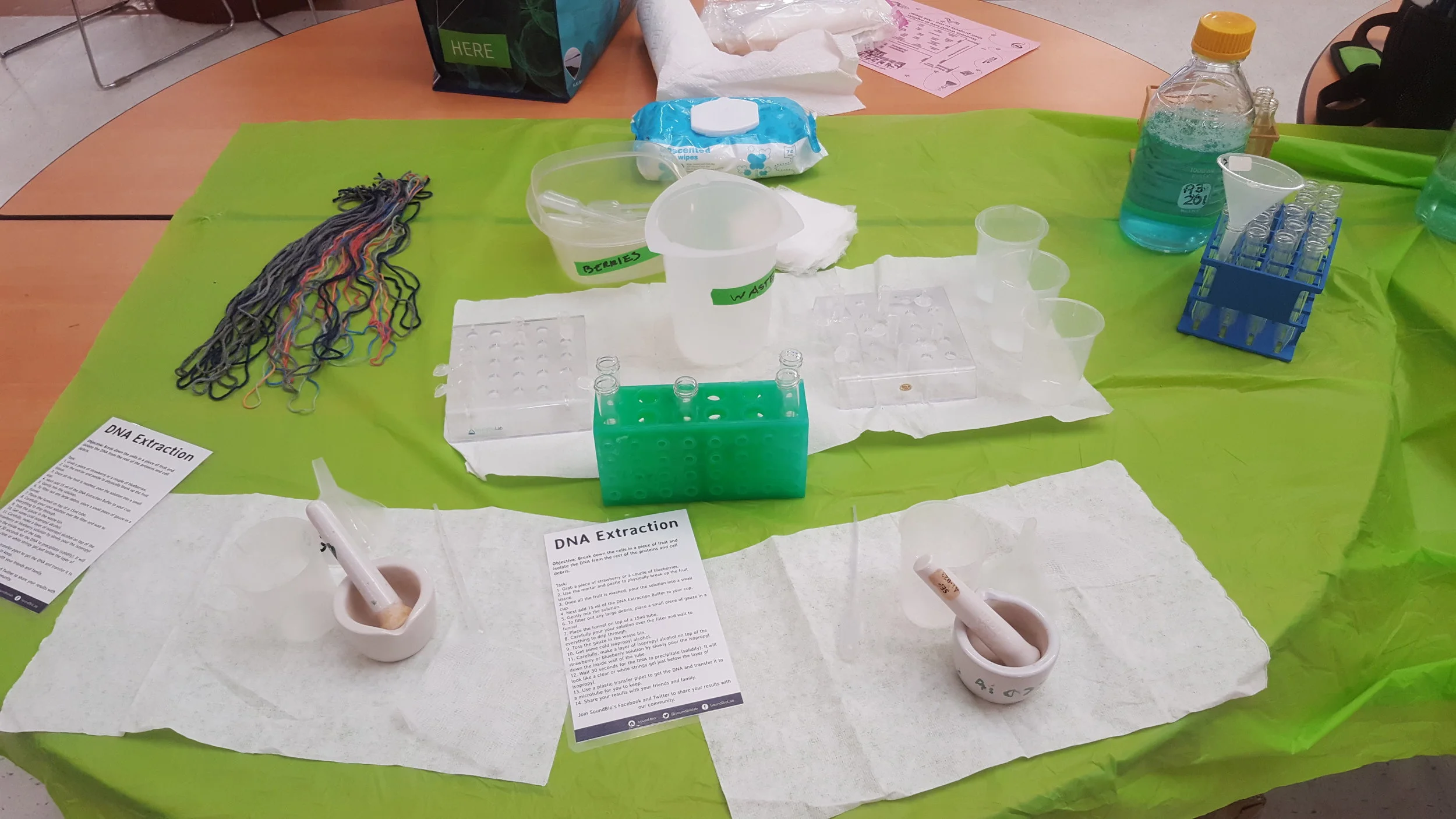 2 of our 4 DNA stations, ready to go!