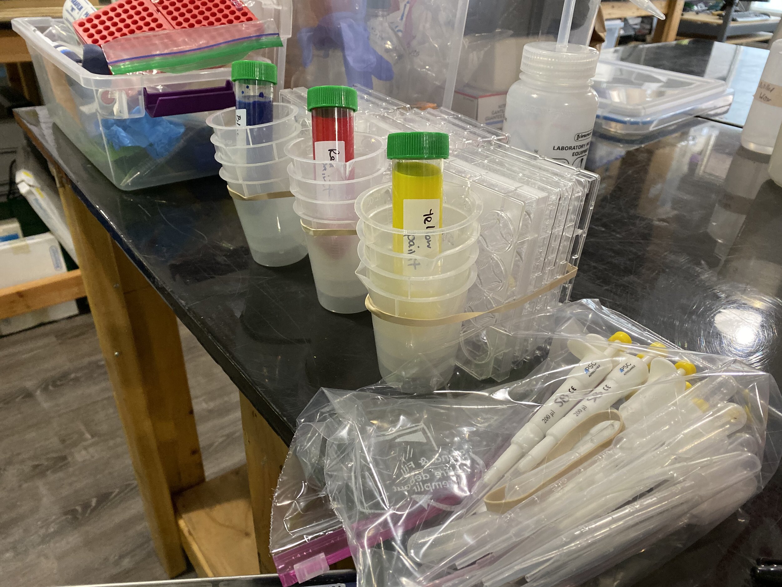 SoundBio: More than Just a Laboratory