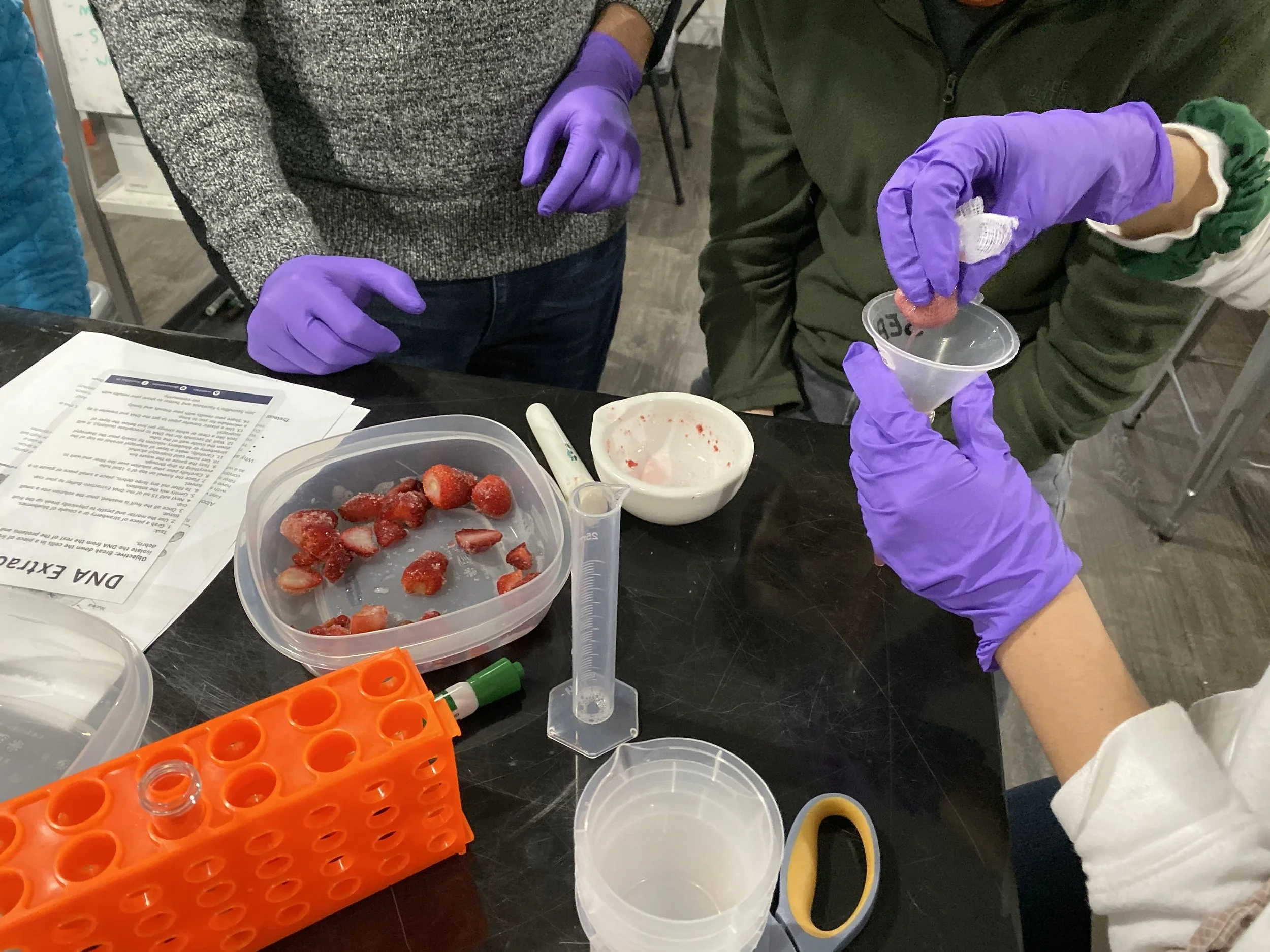 Fruit DNA Extraction
