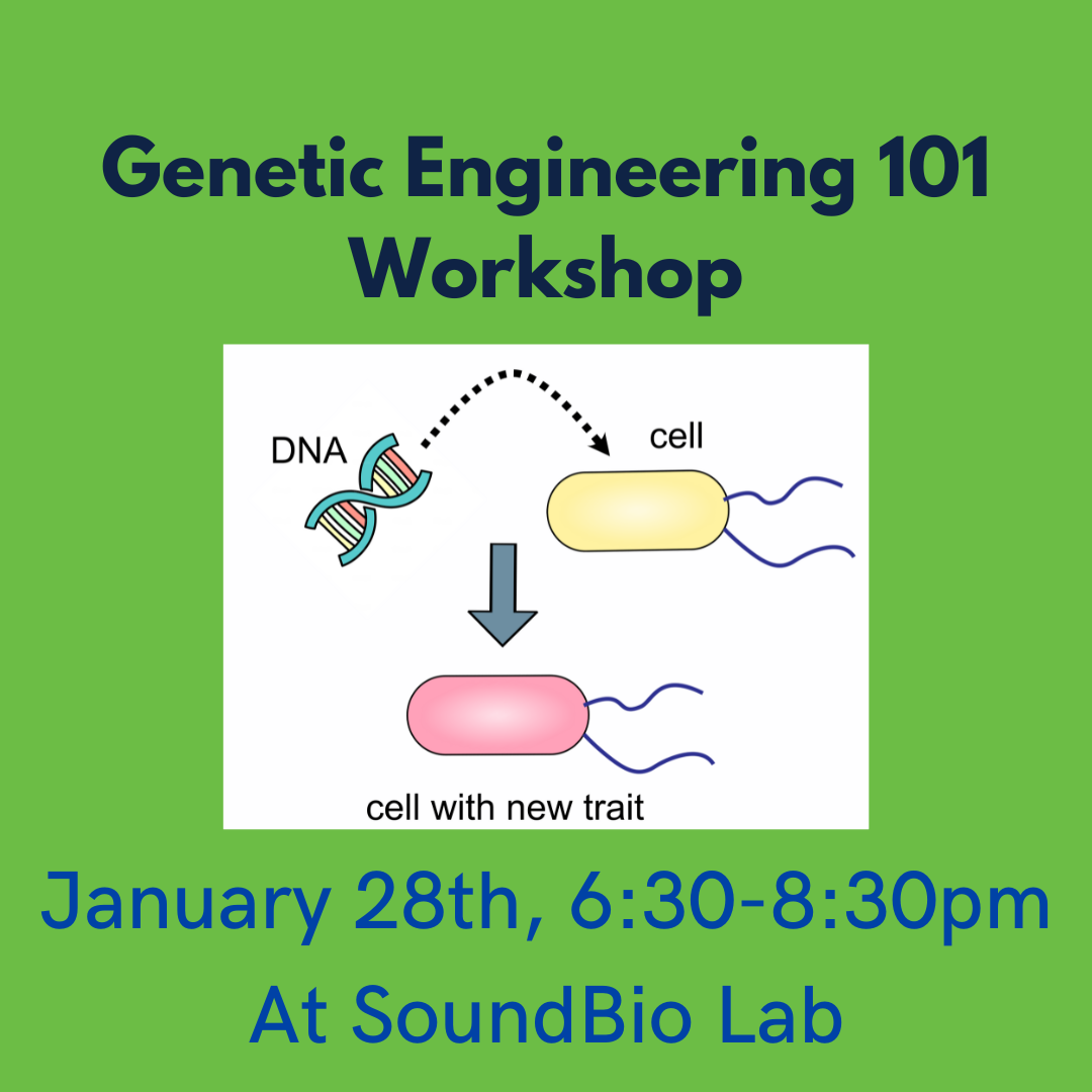 Genetic engineering 101: Transforming Cells
