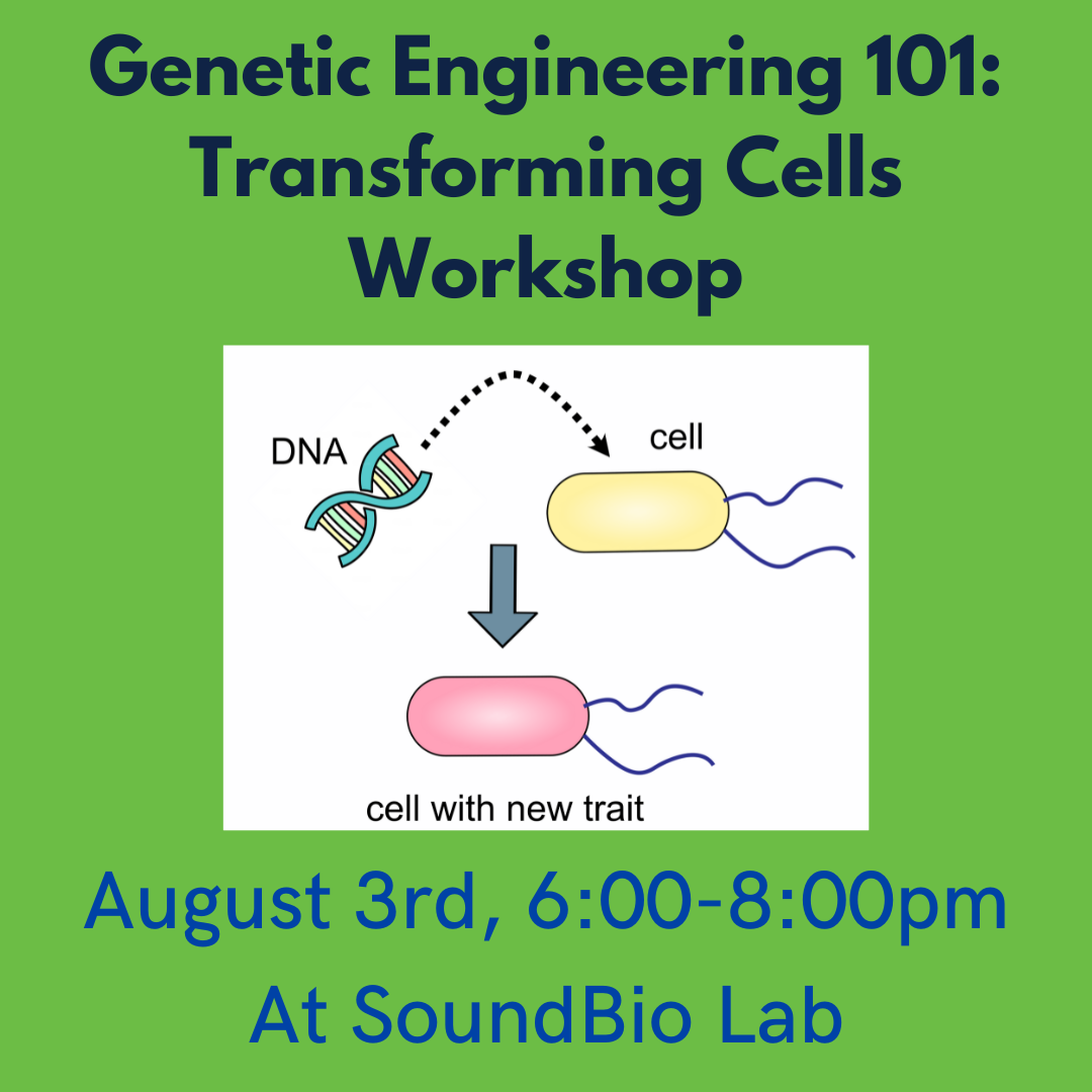 Genetic engineering 101: Transforming Cells