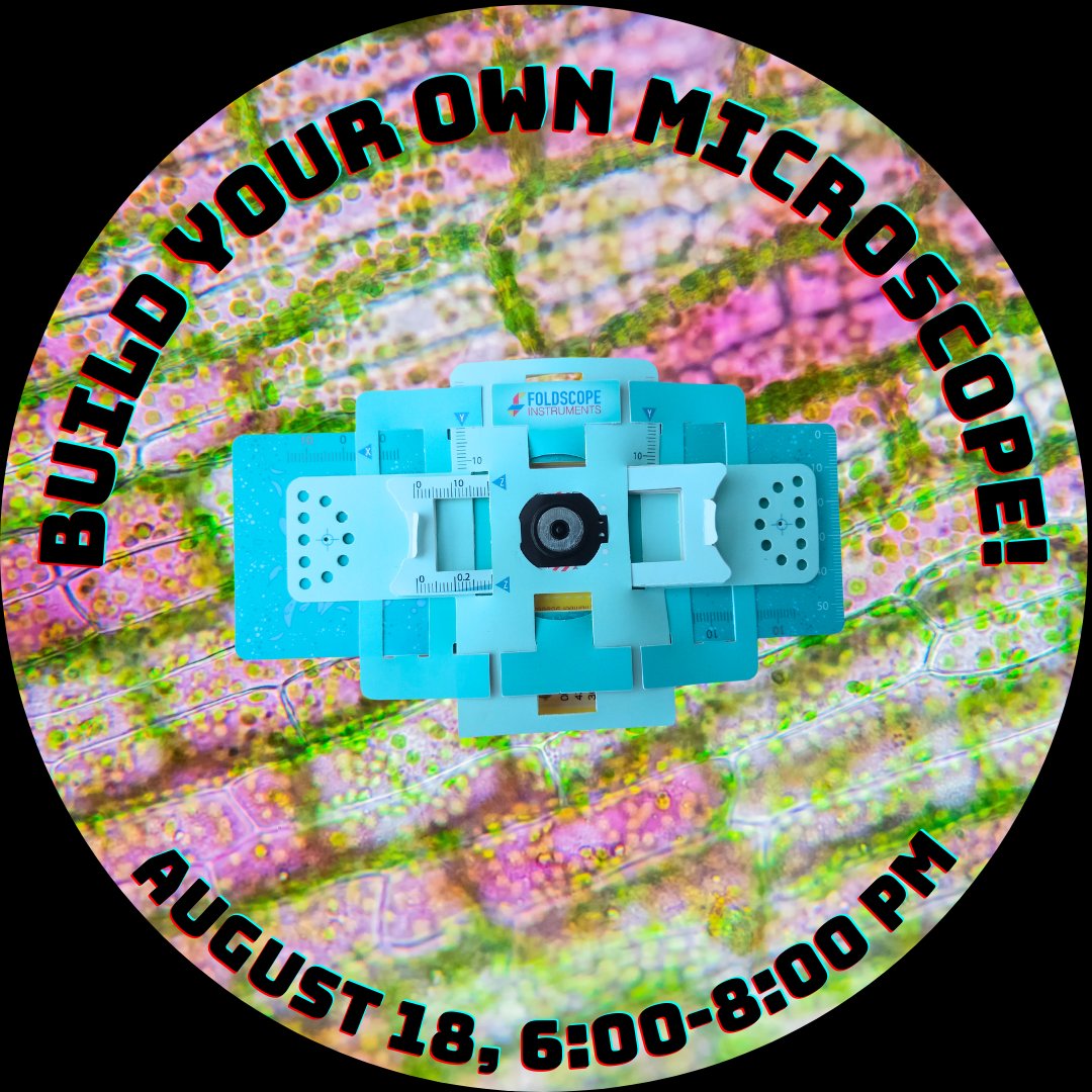 Make Your Own Microscope!