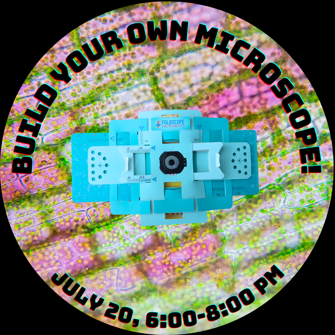 Make Your Own Microscope!