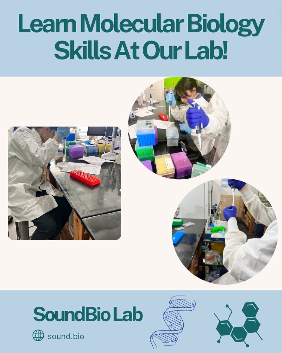 Learn useful and fun biology skills at our Seattle lab such as gel electrophoresis, DNA extraction and more! #learn #biotechnology #fun