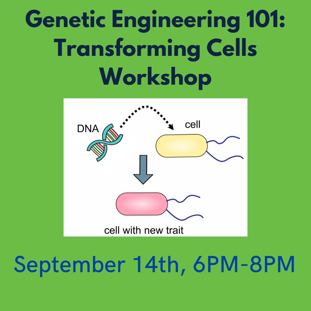 Genetic engineering 101: Transforming Cells