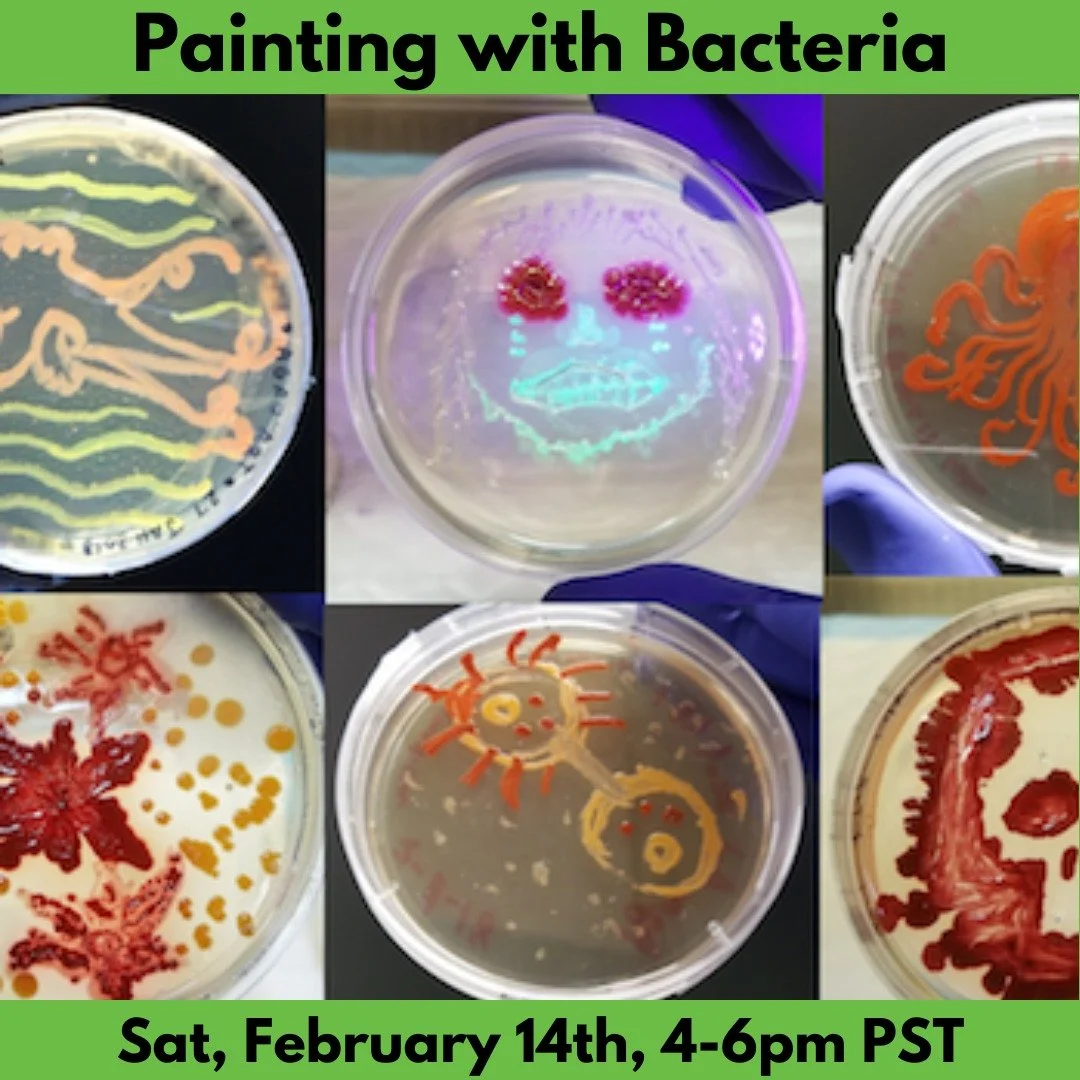 Interested in making microbial masterpieces? In this workshop, we will create bacteria-based paint with strains transformed to glow in various colors. Don&rsquo;t worry&mdash;all our bacteria are human-safe/non-pathogenic. From these paints, you&rsqu
