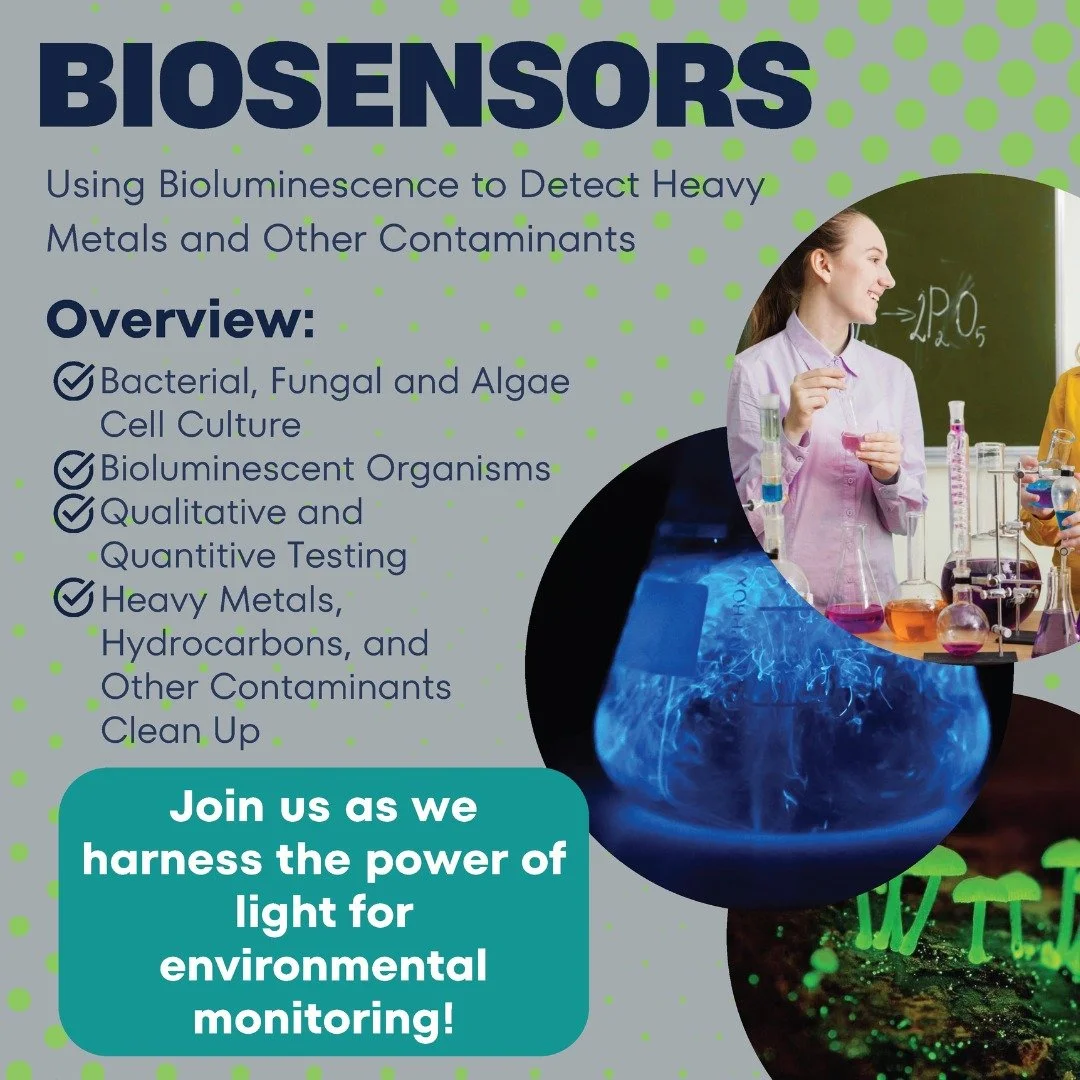 Join SoundBio Lab in our Biosensors Community Project where we explore using bioluminescent organisms as biosensors to detect heavy metals and other contaminants in soil and water. Our ultimate goal will be creating easy-to-use testing kits for our c