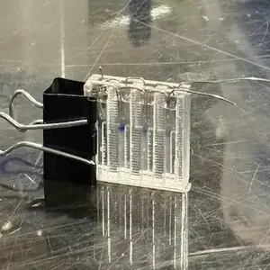 DIY+Gel+Electrophoresis.webp