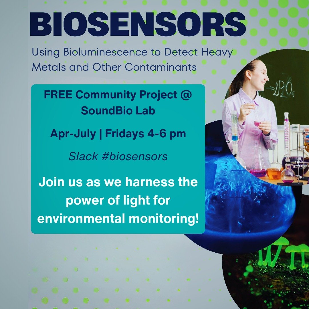 Missed our first couple of biosensors community project meetings? No problem! Join us every Friday from 4-6 pm from now until July 31 as we continue to explore using bioluminescent organisms to detect heavy metals and other contaminants in soil and w