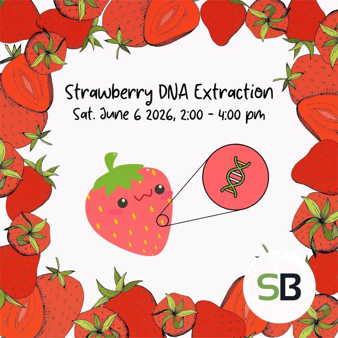 🍓🧬So you've heard of DNA, but have you seen it? Come what DNA is and what scientists do with while having fun mushing up strawberries and extracting visible blobs of DNA that you'll get to take home in a tube. 

Suitable for anyone age 12 up. This 