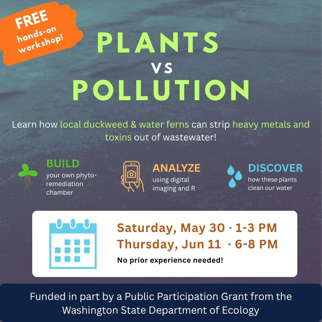 🌿 Ever wonder how local water plants can strip heavy metals and toxins from wastewater? Join us for a FREE hands-on phytoremediation workshop on Saturday, May 30th or Thursday, June 11! 

🎟️ Sat, May 30, 1-3 pm: https://www.sound.bio/workshops-even