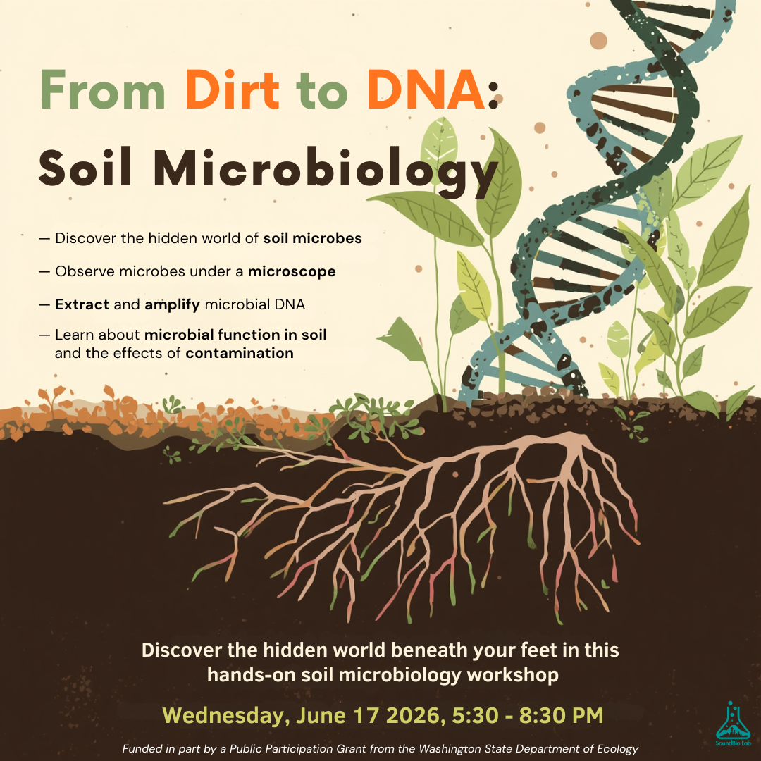 From Dirt to DNA: Soil Microbiology