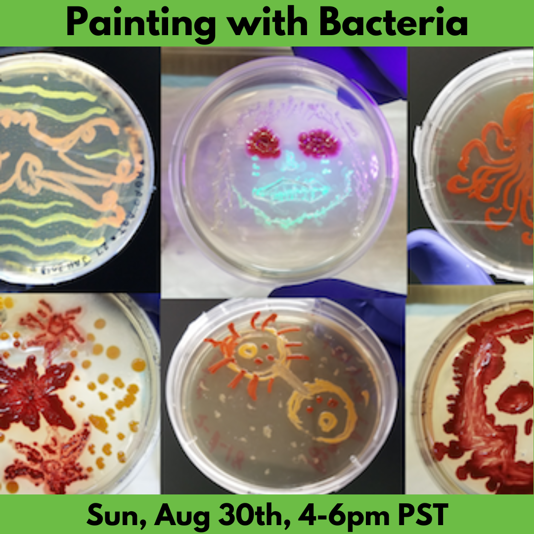 FREE! Painting with Bacteria