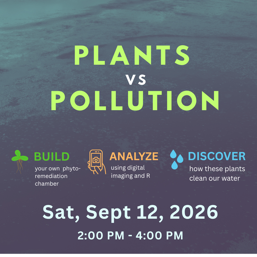 Plants vs Pollution: Phytoremediation Workshop