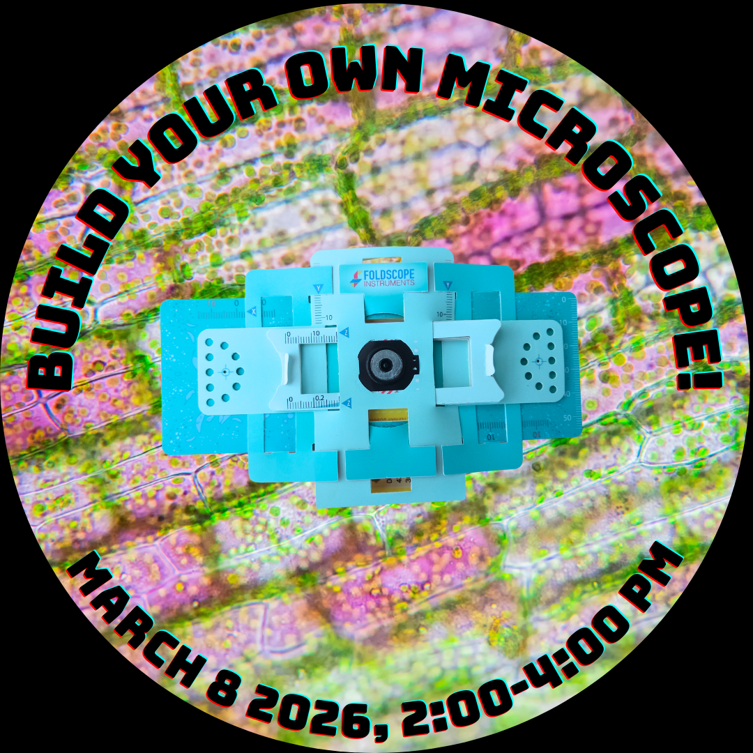 Copy of Build Your Own Microscope (1).png