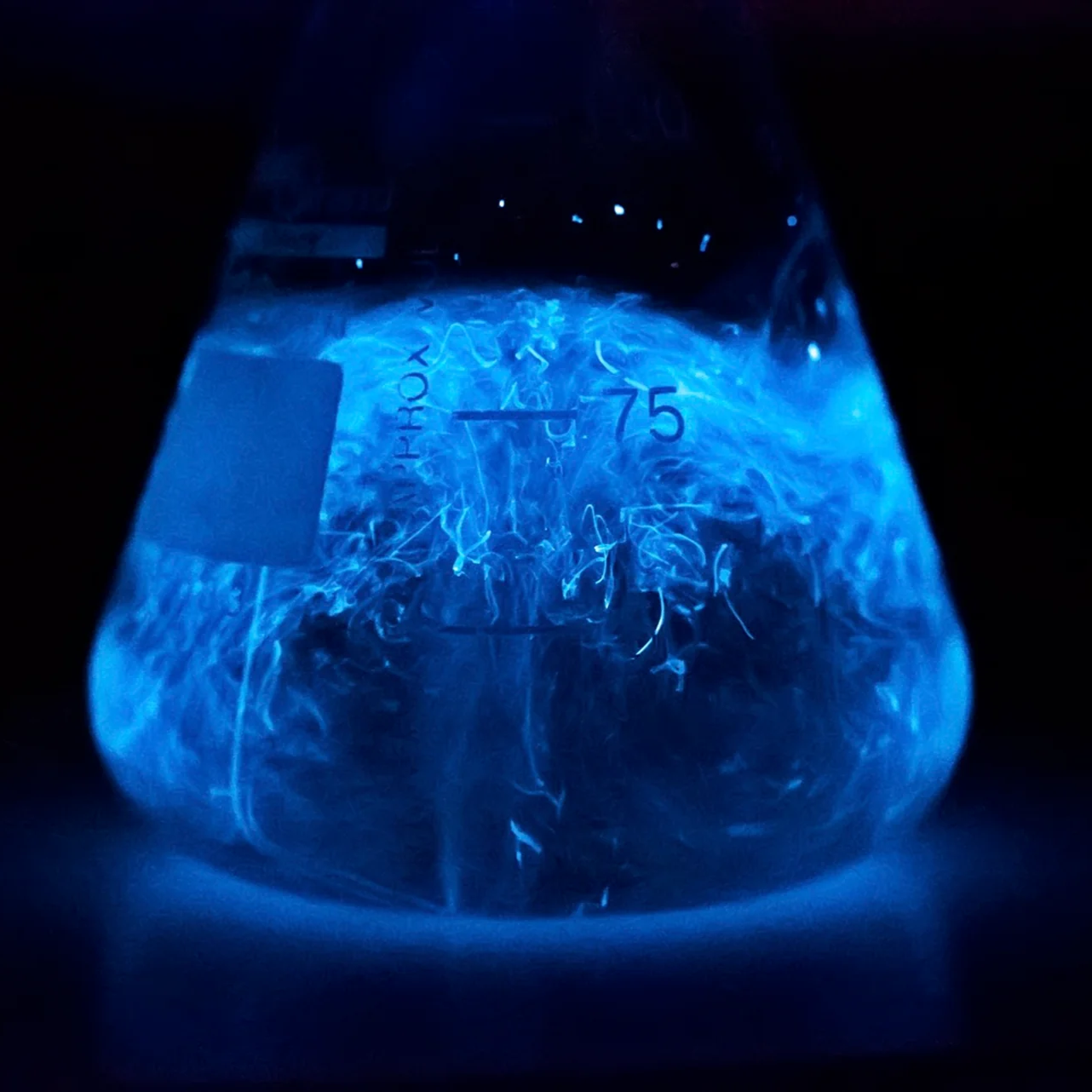 Biosensors Community Project Opening Workshop