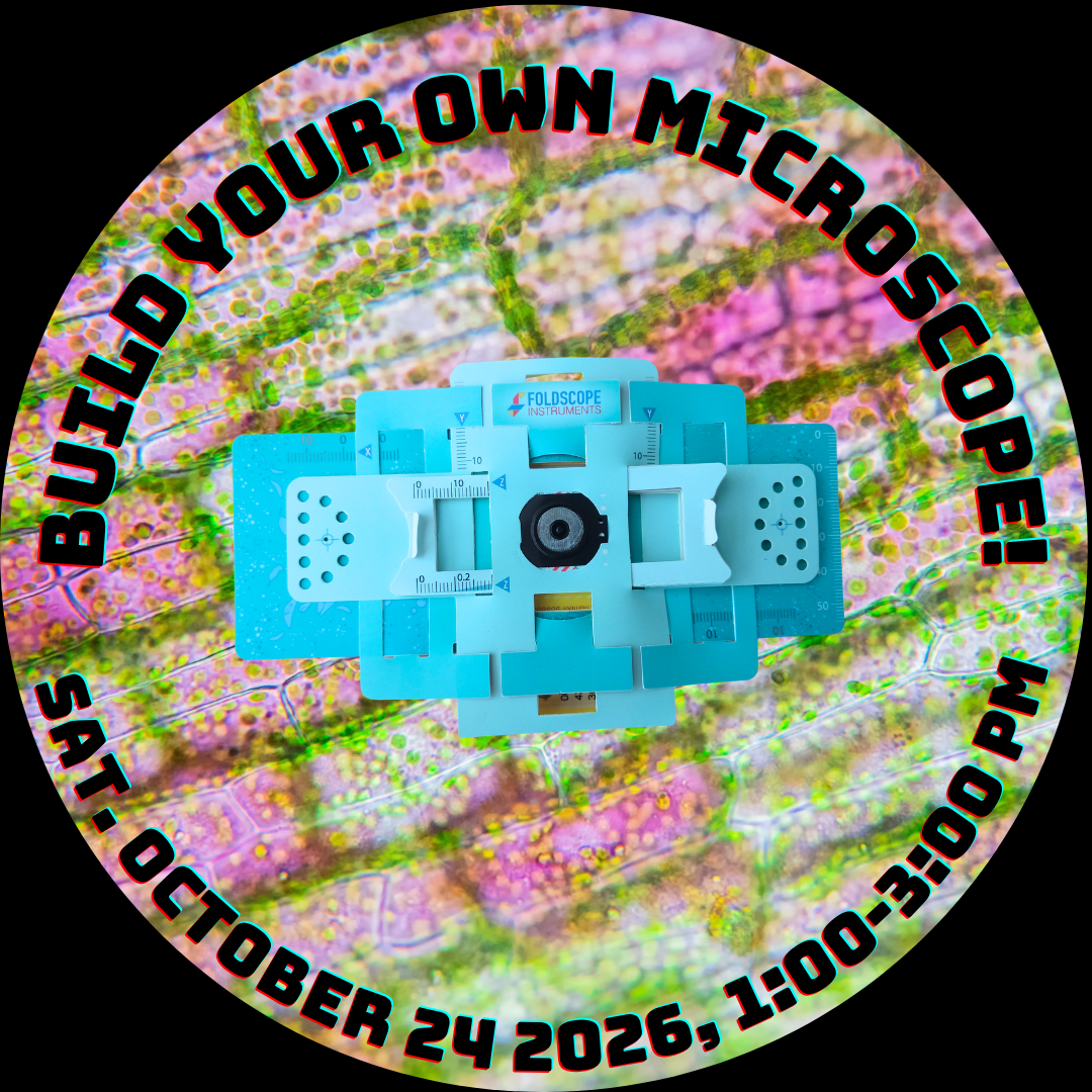 Build Your Own Microscope -26-4.png