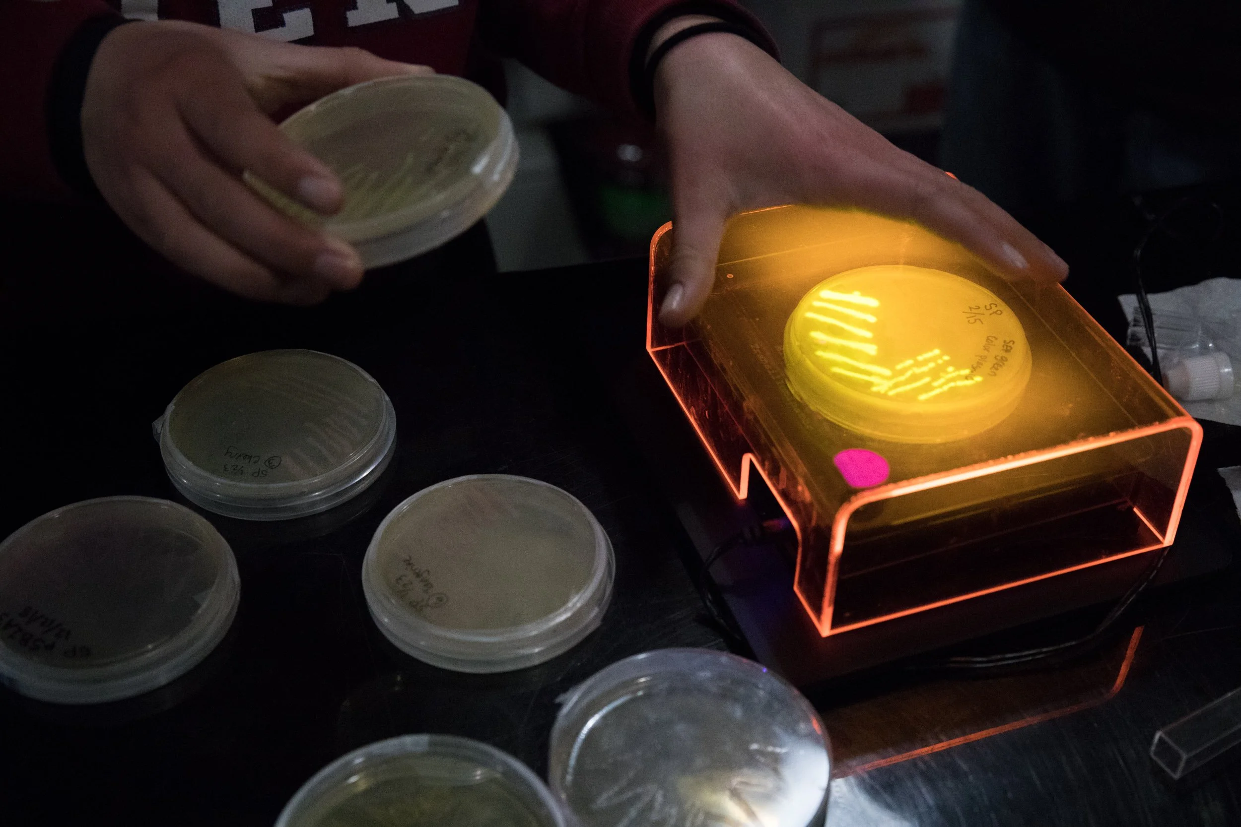 Have our own research project, or want to join one of ours? We have capabilities to handle most molecular biology and microbiology work.