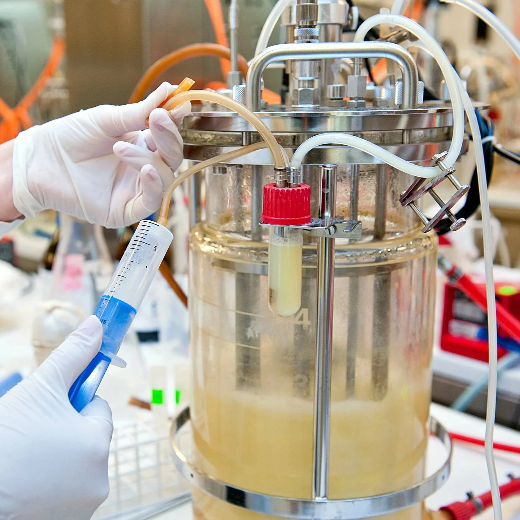 Bioreactor_Shoreline.jpg