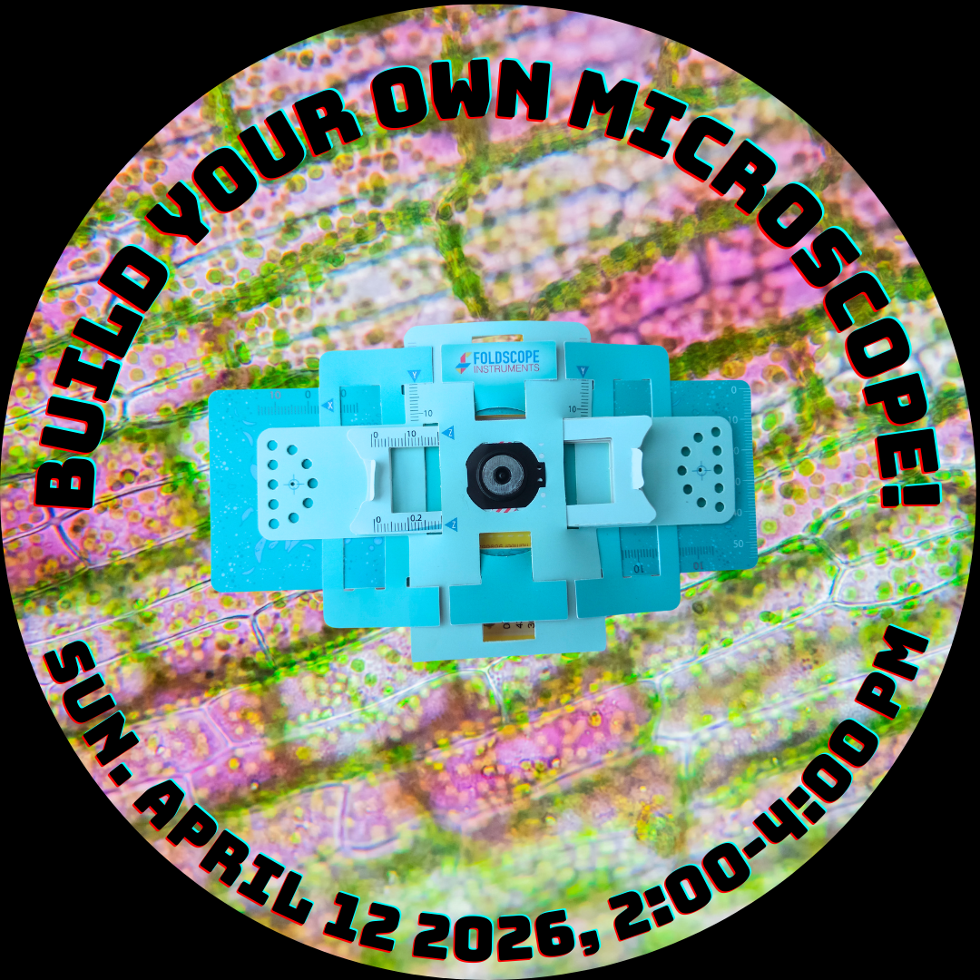 Copy of Build Your Own Microscope 26-4-12.png
