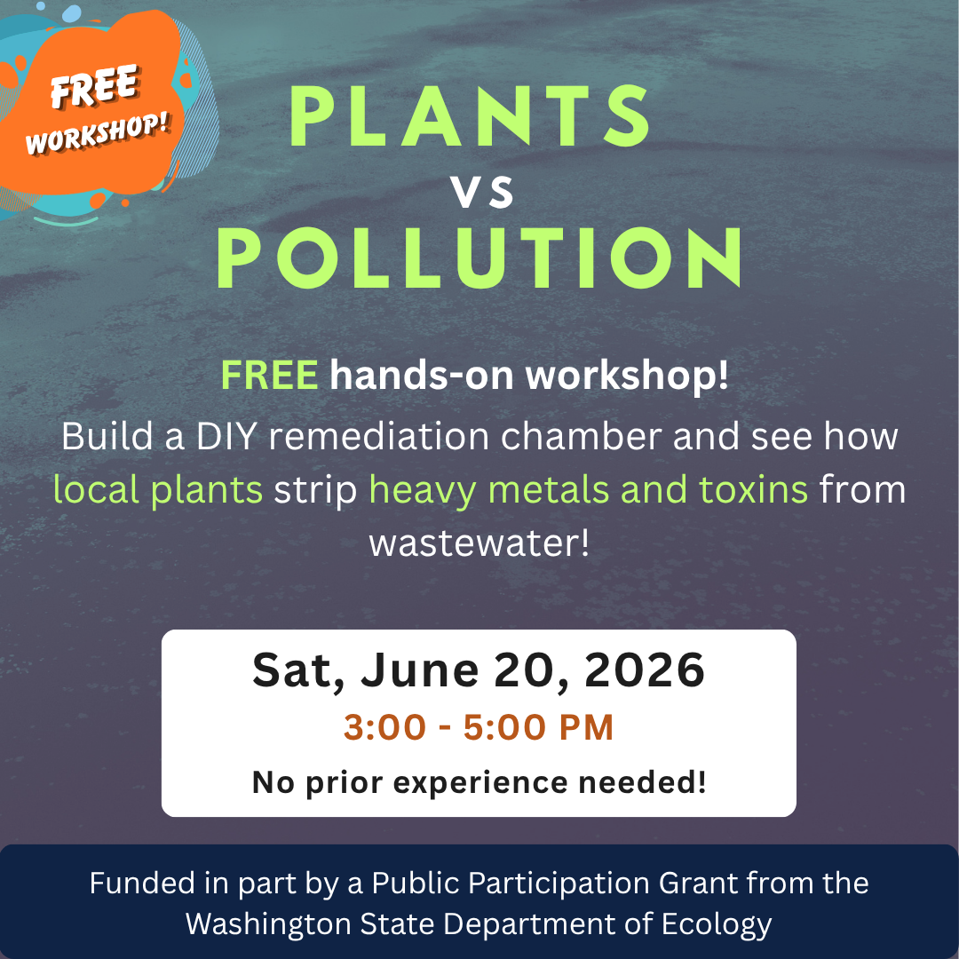 Phytoremediation 062026.png