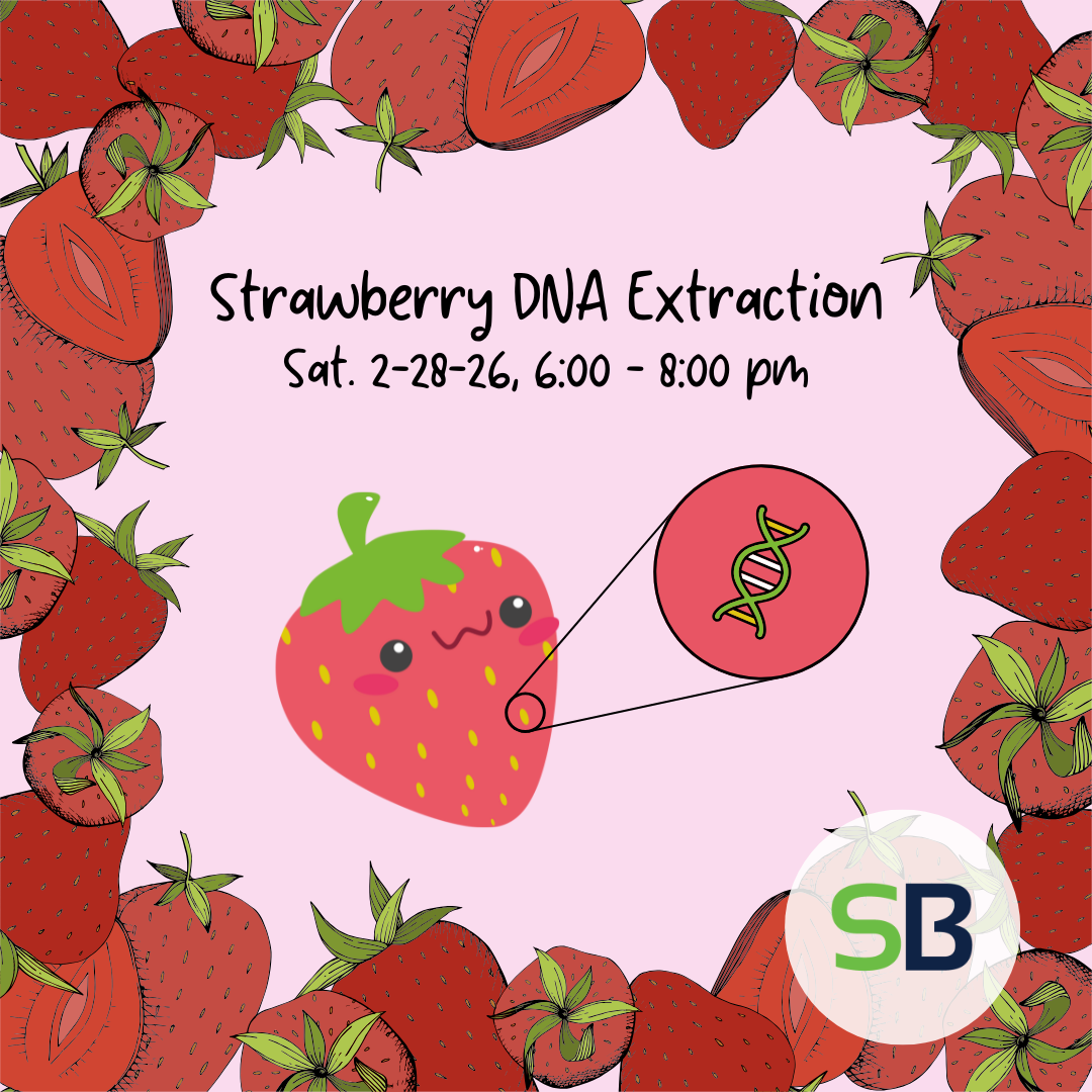 Copy of Strawberry DNA Extraction.png