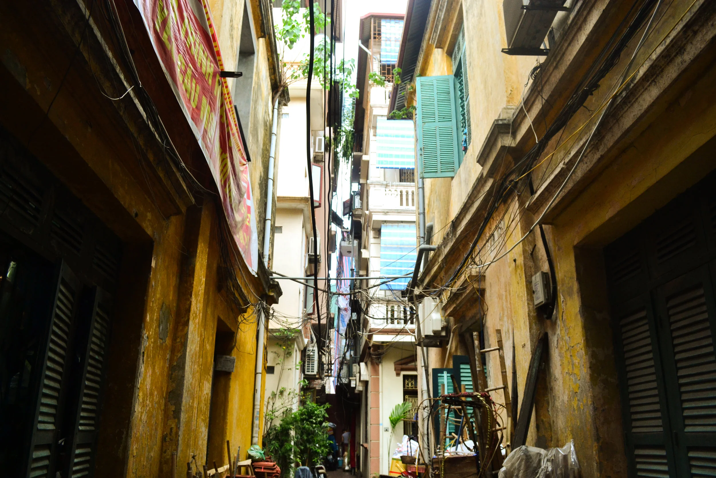 DSC_0329.jpg