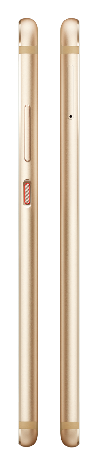 P10_gold_Sides.png