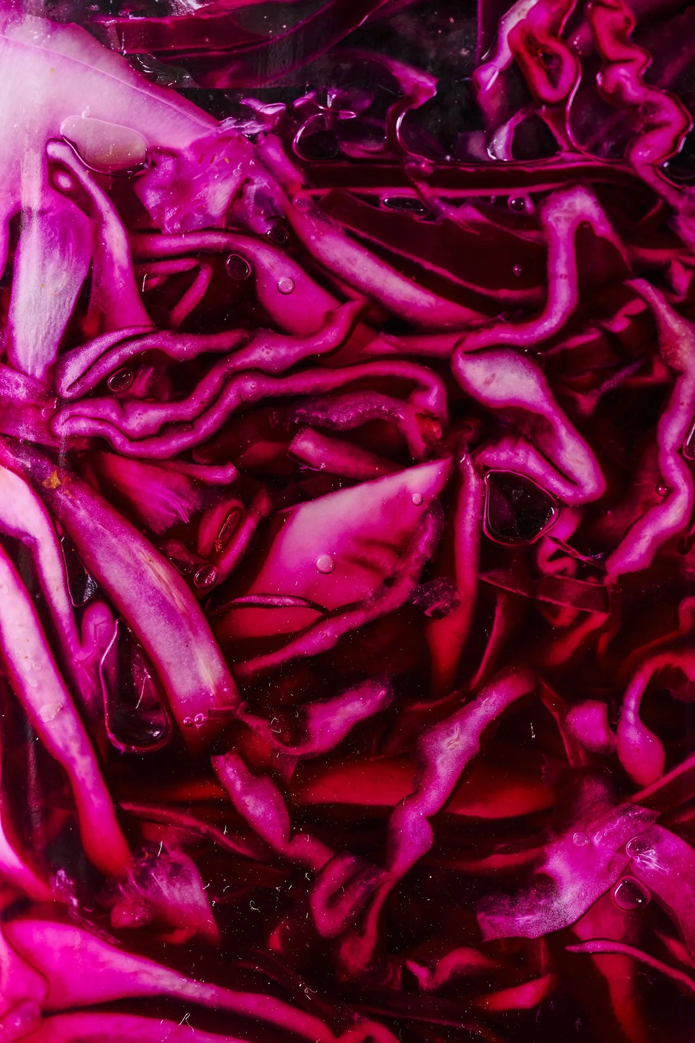 HH Calum Harris The Proper Healthy Cookbook Day 6 Zesty Pickled red Cabbage 004.jpg