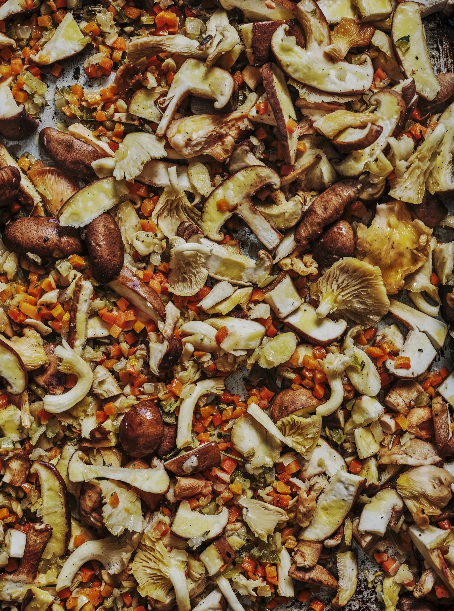HH Calum Hariis Batch Day 2 ROASTED HARISSA BOLOGNESE 001.jpg