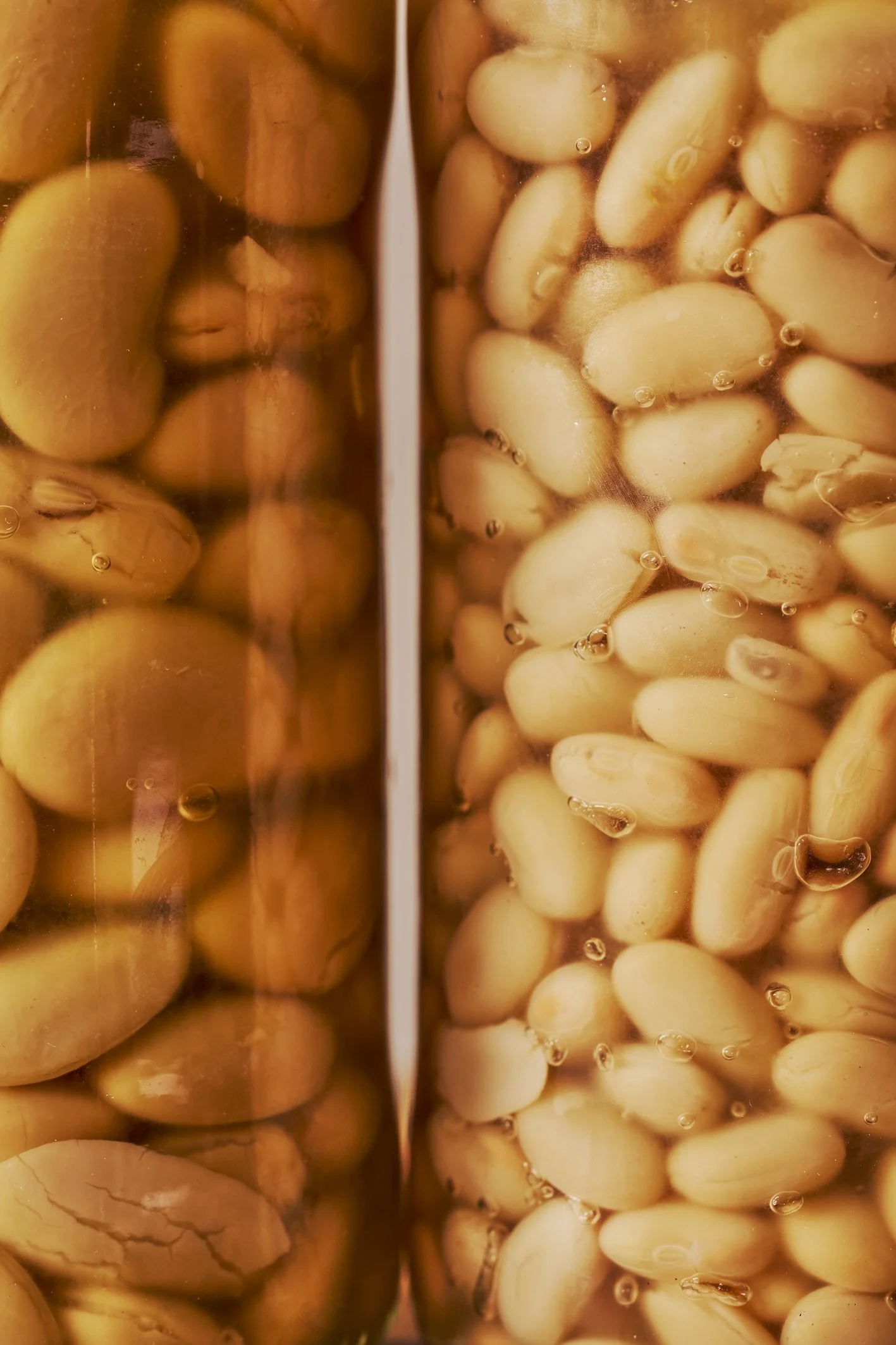 HH Sophie Waplington 30 in 30 Day 10 Beans002.jpg
