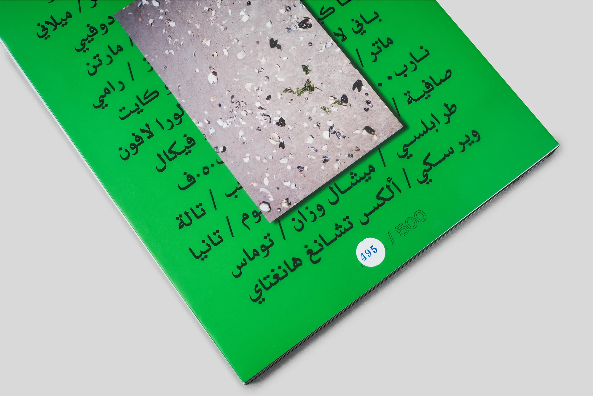 DSC08213-Edit.jpg
