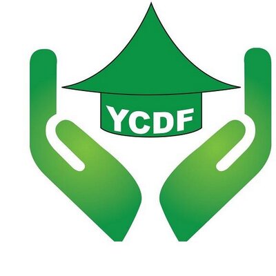 YCDF.jpeg