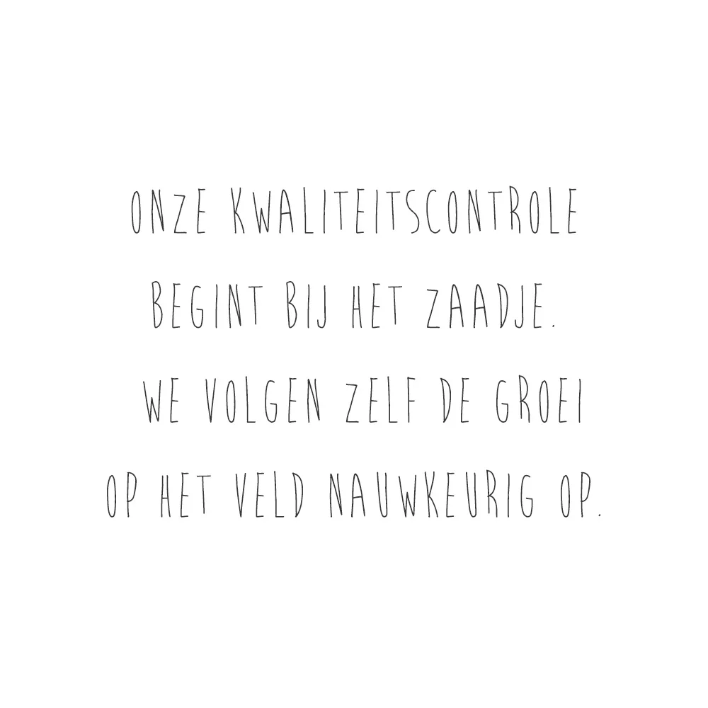 Tekst2.jpg
