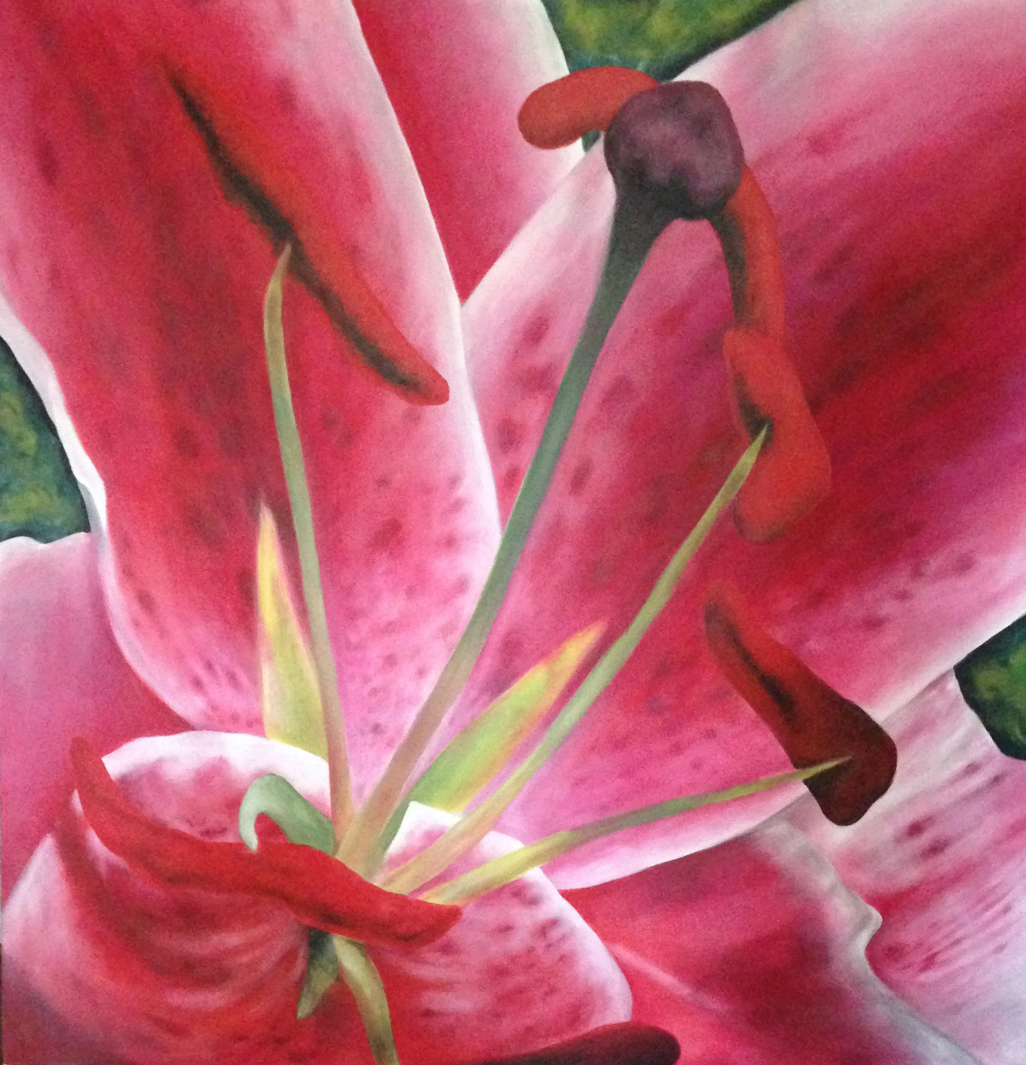 2011_EGordon_Tiger Lilly.jpg