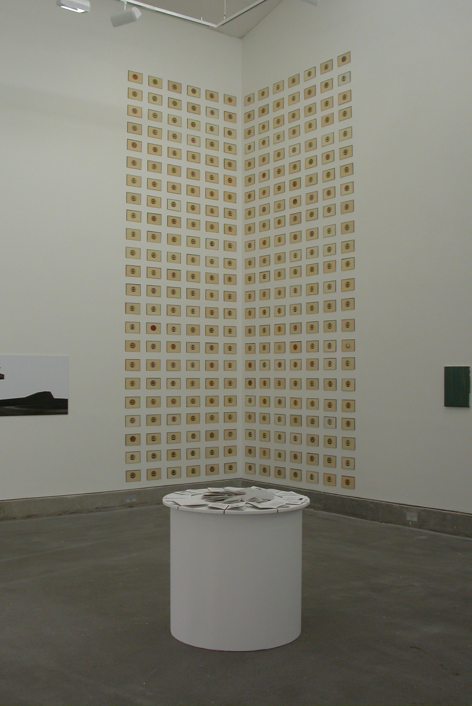  Image of a corner of the gallery showing James Quin’s expansive drawing installation, and in the foreground a circular plinth displaying Christine Arnolds book,  Walking, Dreaming, Thinking: A Book of Reflections.  