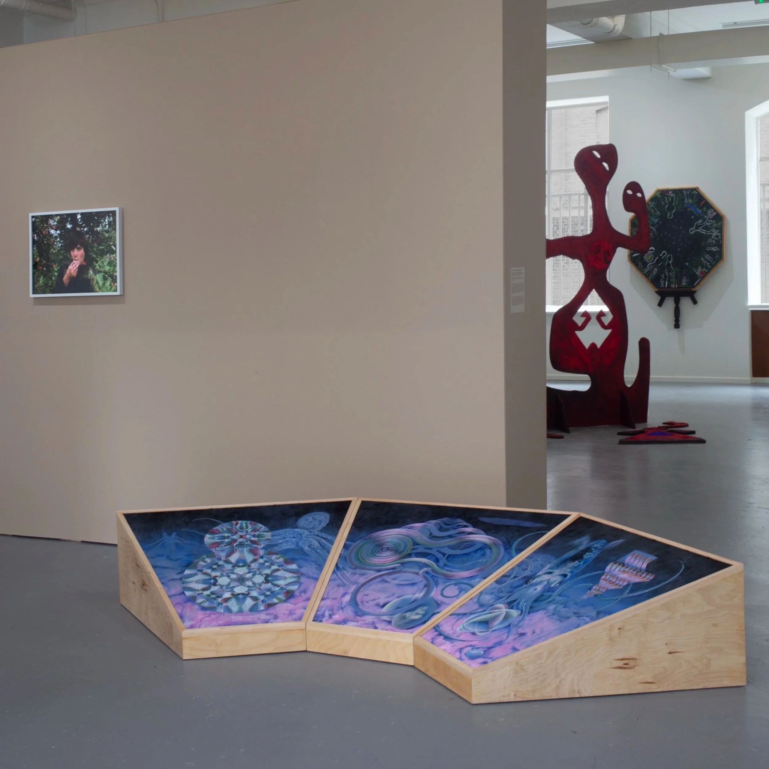 Fiona Lutjenhuis in Nest Ruimte: Creation Myths and Other Beginnings