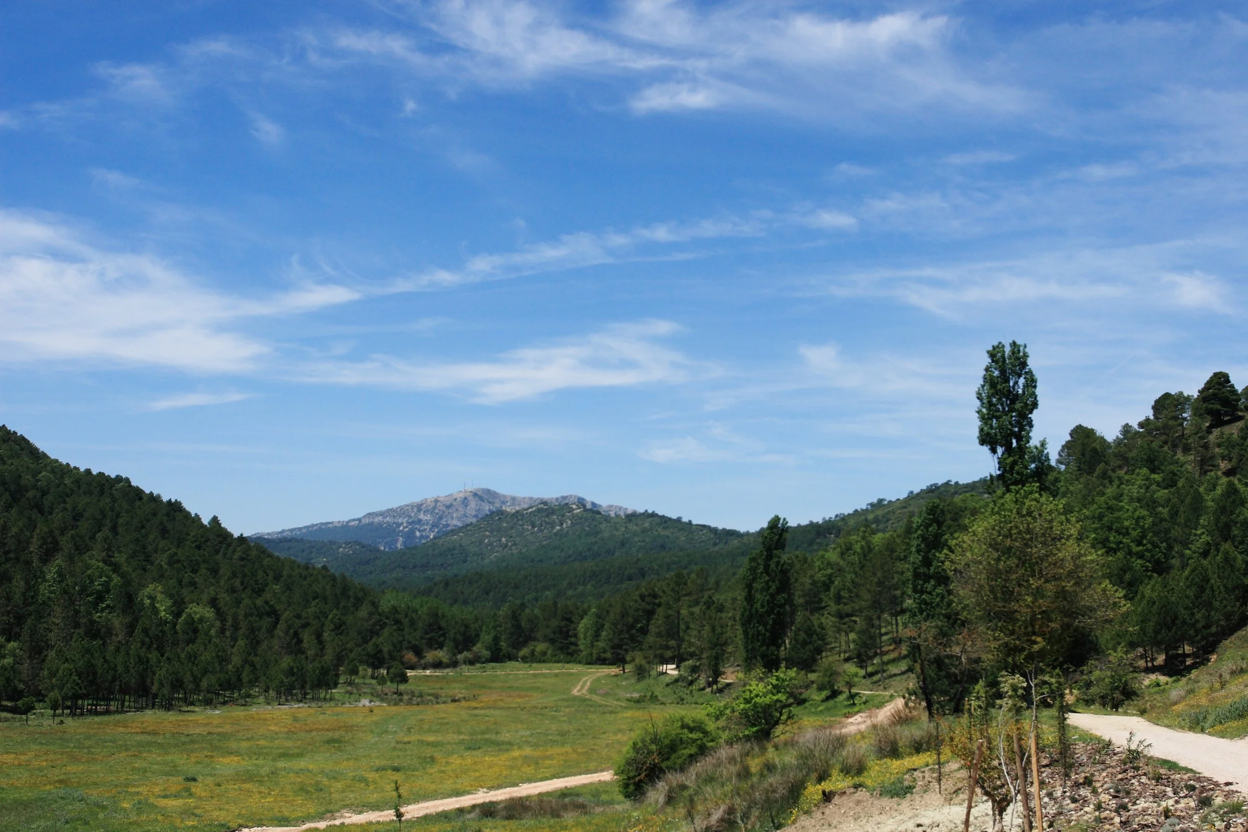 IMG_4947.JPG
