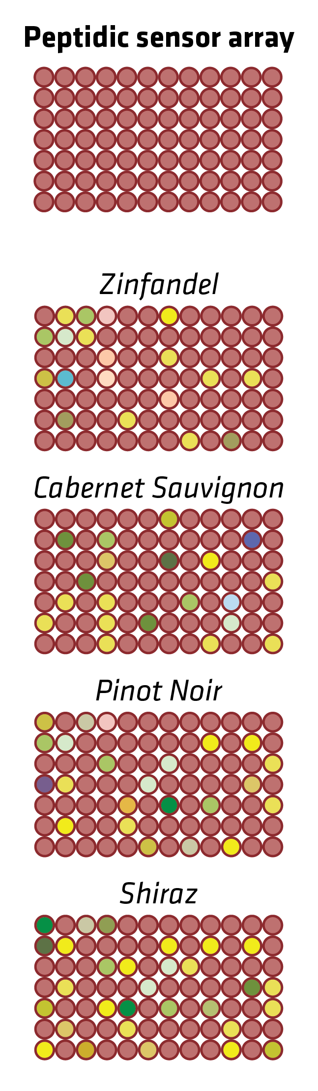 wine graphics-06.png