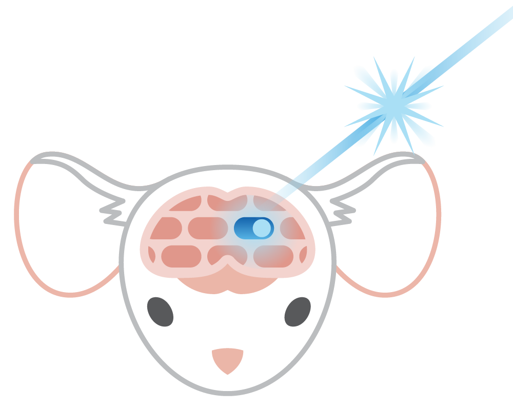 optogenetics infographic_FOR WEB-02.png