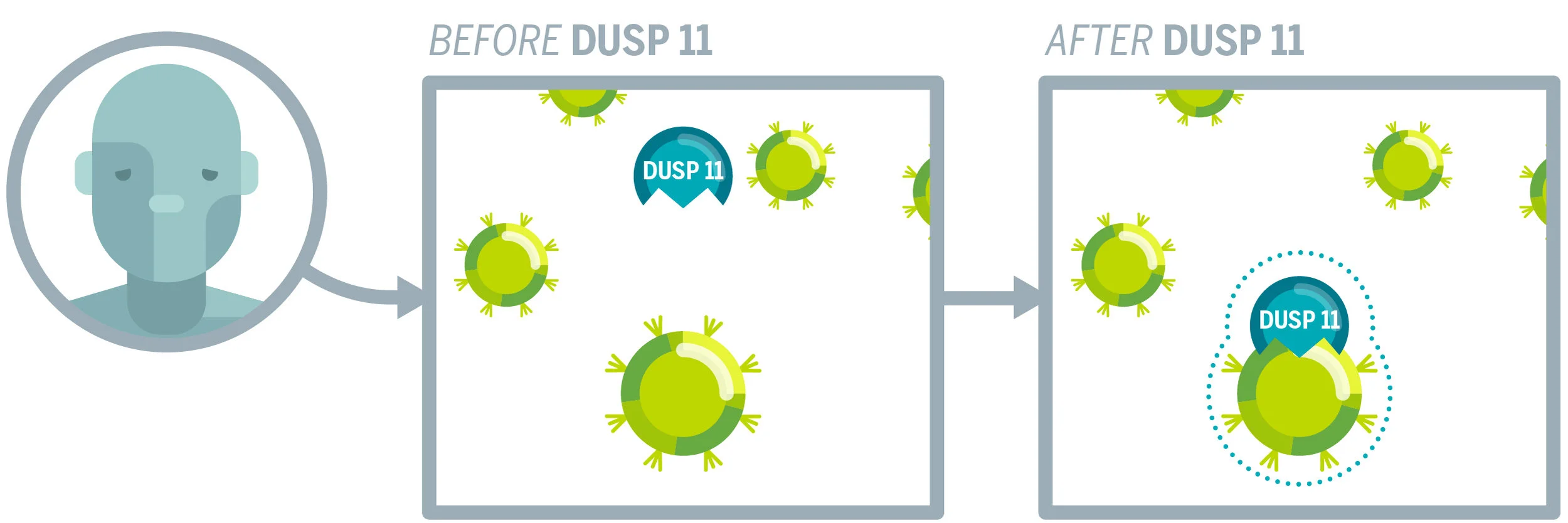 BEVO virus stuff_WEB-05.jpg
