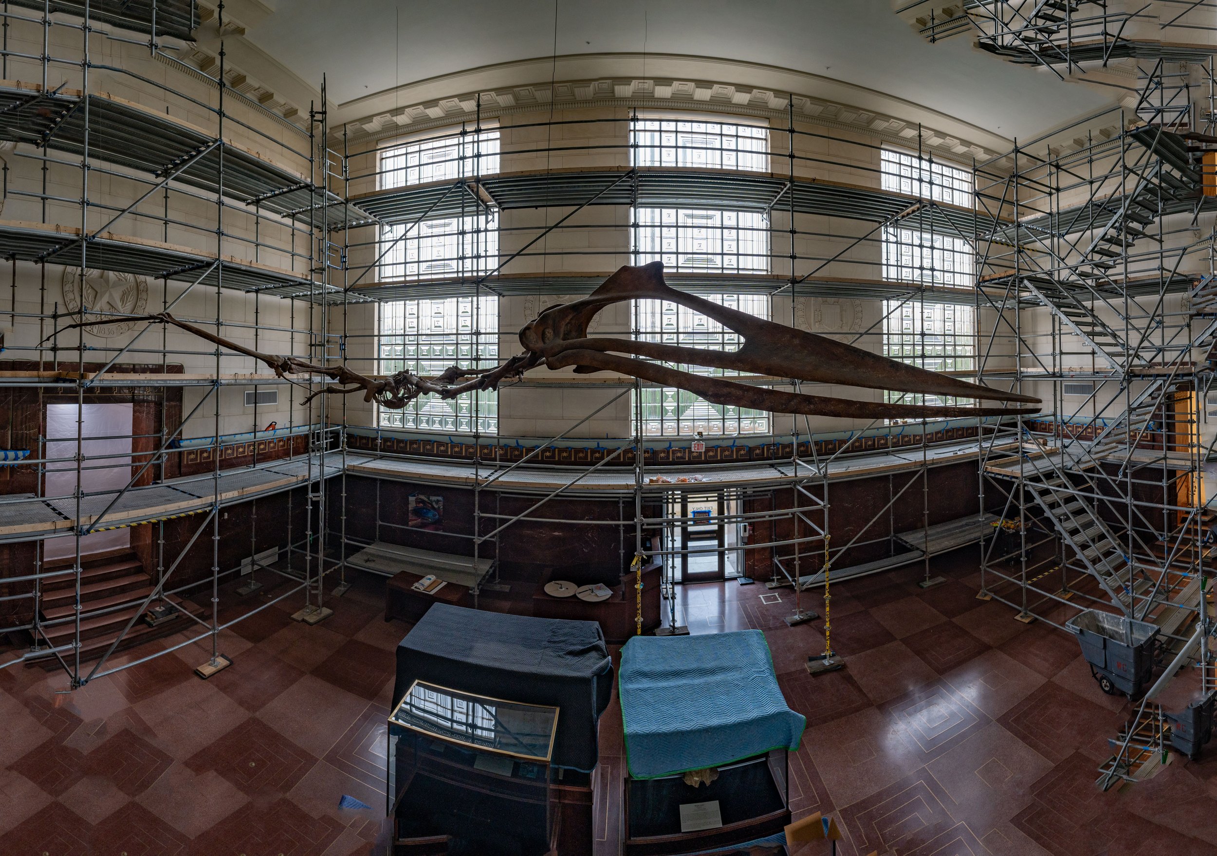  Floor-to-ceiling cleaning over the last year took place in the grand hall where  Quetzalcoatlus  is on display. 