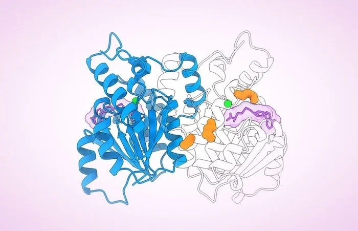 Patented Protein Design