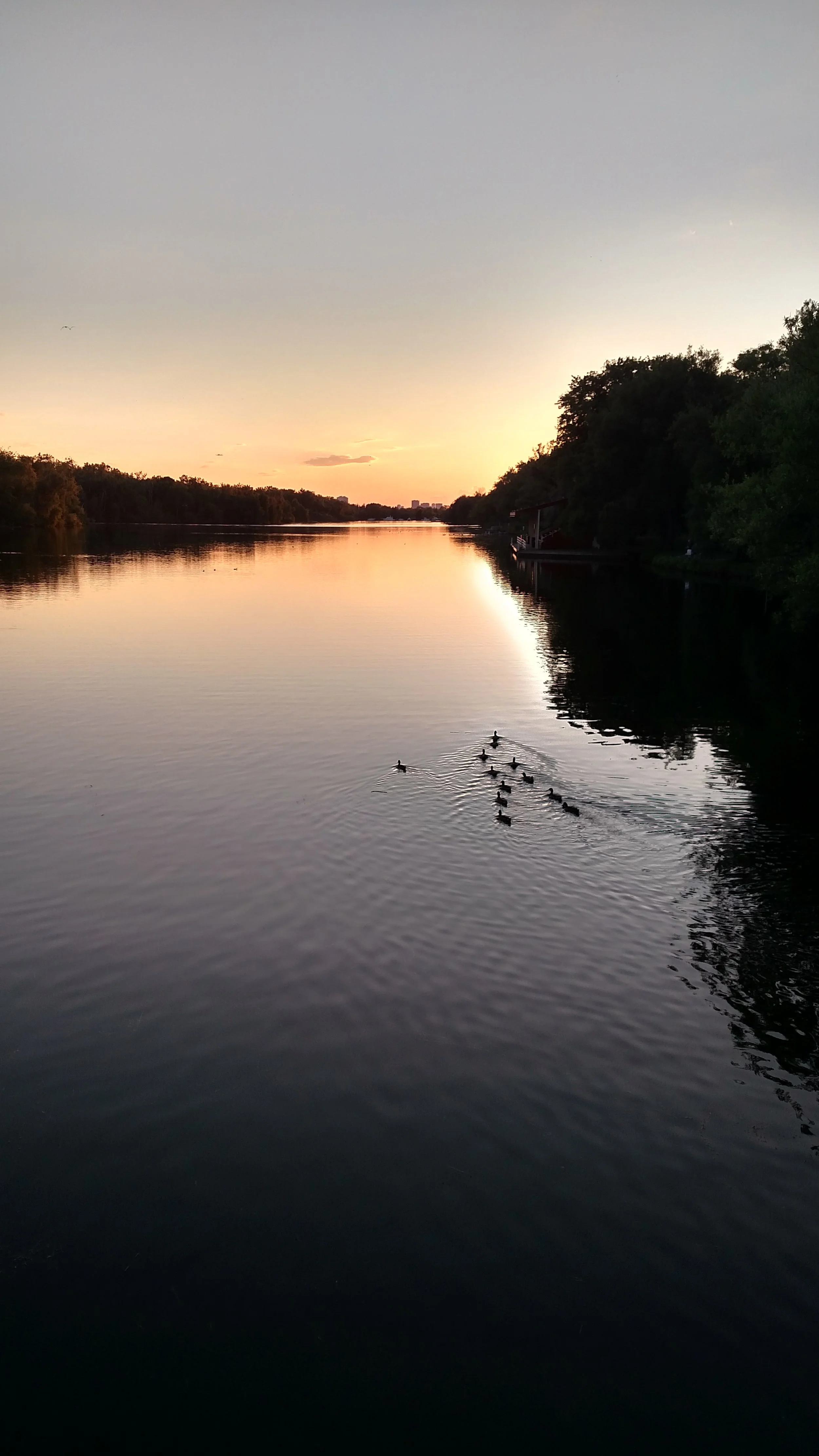 Wade in the Water (SACB)