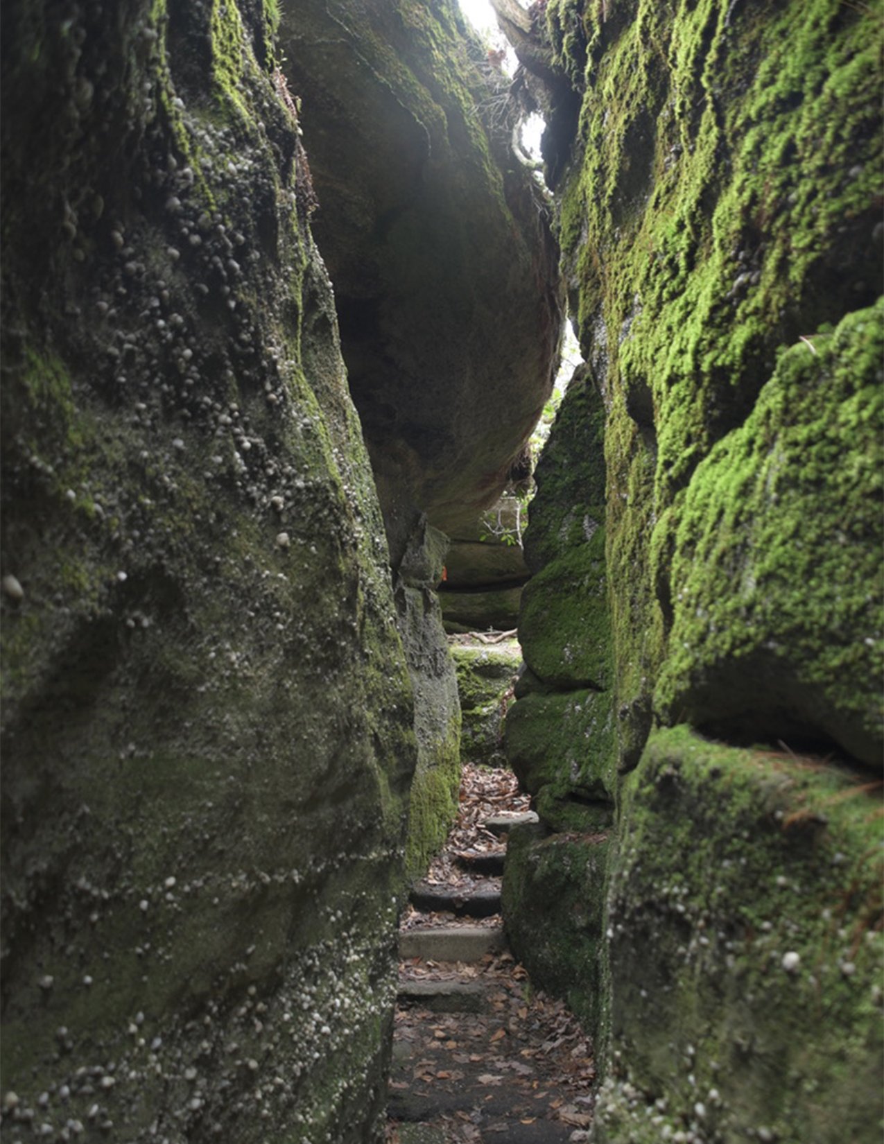 narrowPath_image.jpg
