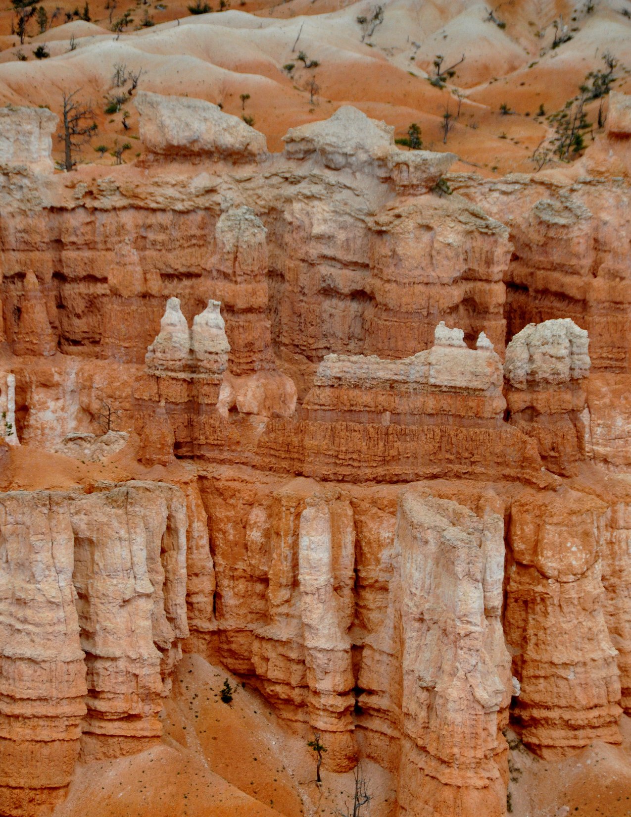 bryceCanyonHoodoos_image.jpg