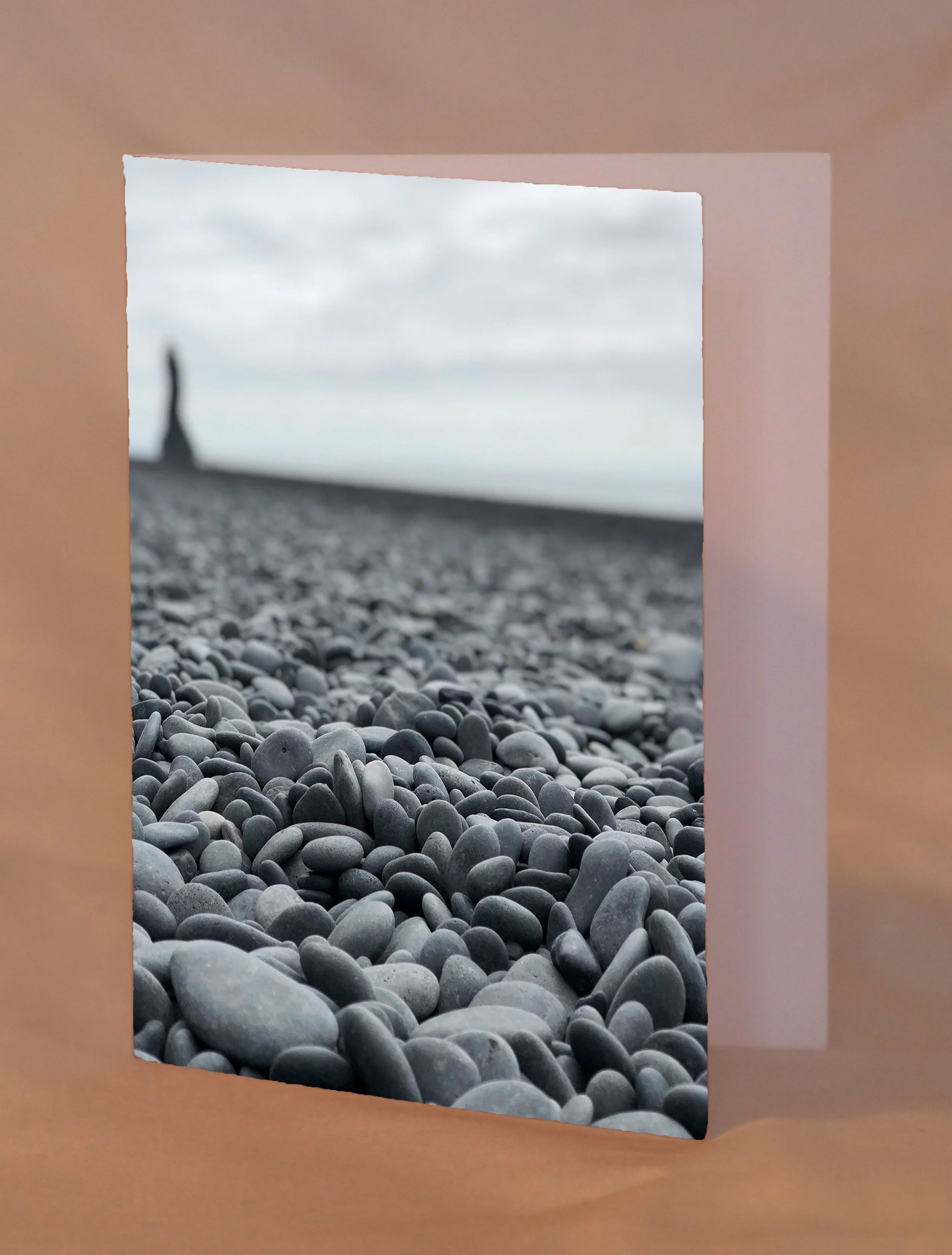 rockyBeach_placed.jpg